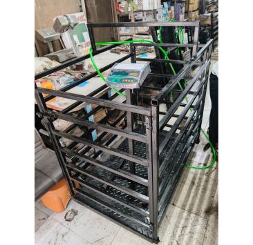 Goat Farm Weight Scale